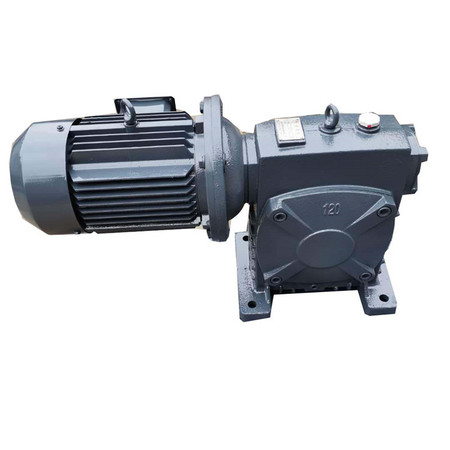 WP series worm gear reducer
